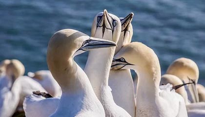 打扑克，打扑克牌对大脑有什么好处