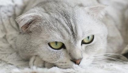 快播论理电影，快播电影怎么样