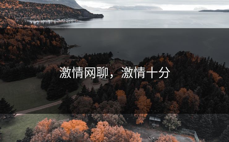 激情网聊，激情十分