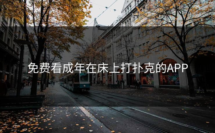 免费看成年在床上打扑克的APP
