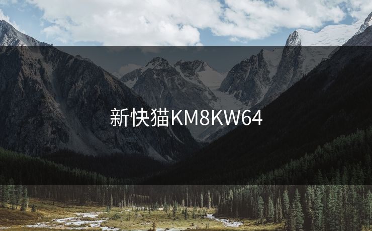 新快猫KM8KW64