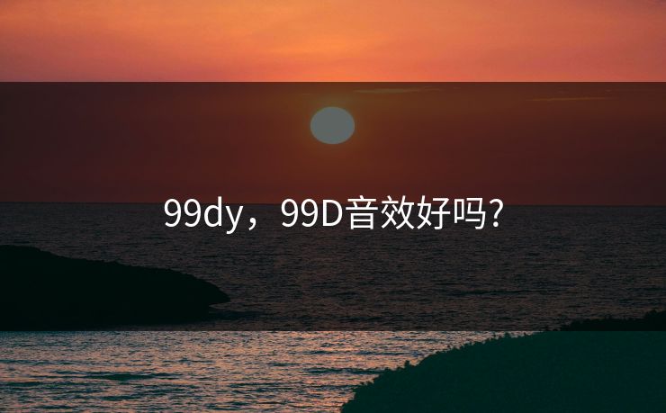 99dy,99D音效好吗?