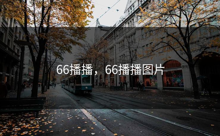 66播播,66播播图片