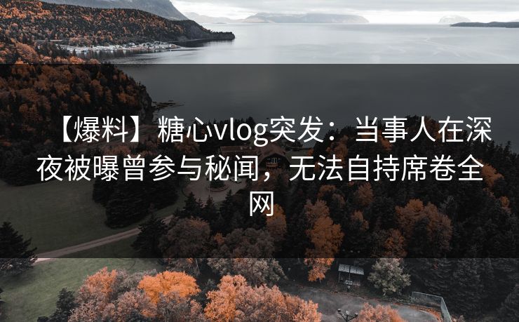 【爆料】糖心vlog突发：当事人在深夜被曝曾参与秘闻，无法自持席卷全网