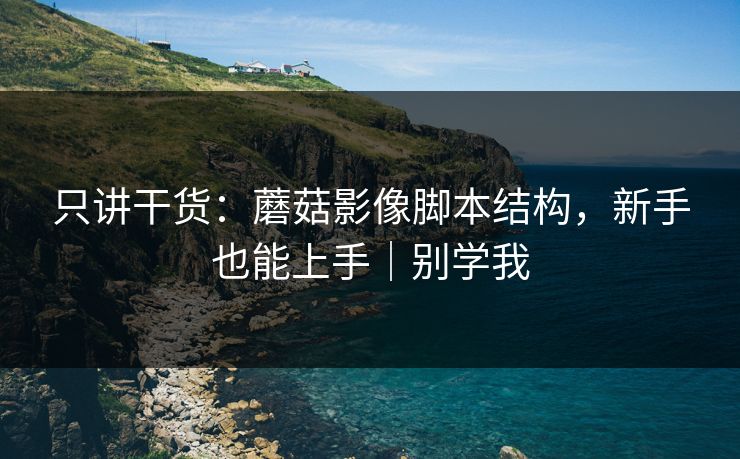 只讲干货：蘑菇影像脚本结构，新手也能上手｜别学我