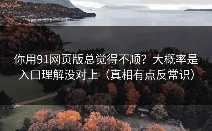 你用91网页版总觉得不顺?大概率是入口理解没对上(真相有点反常识)
